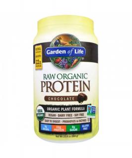 Raw protein vanilka