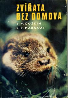 Zvířata bez domova