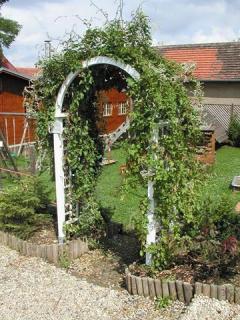 Zahradní Pergola L14