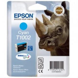 Epson T10024010 originál