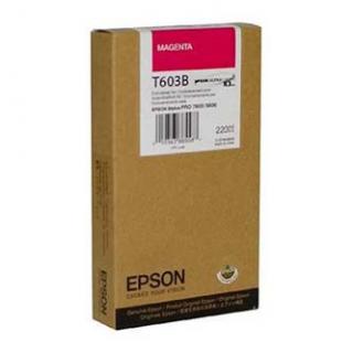 Epson T603B00 originál