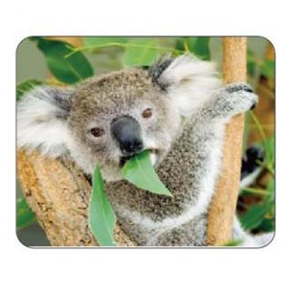 Podložka pod myš, Koala na stromě, PVC, 22cmx18cm, 0.3cm, Logo