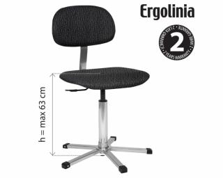 ERGOLINIA EVO2 PROFI