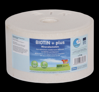 Biotin + plus minerální liz