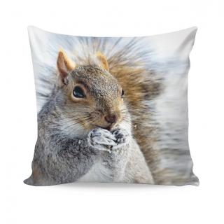 Dekorační povlak 50x50 cm motiv: squirrel