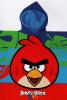 Dětské pončo - Angry Birds RIO velikost:: 60x120 cm