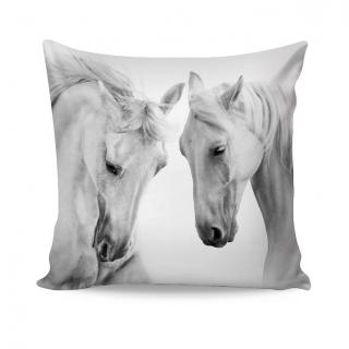 Povlak GALUS 40/40 cm velikost: 40x40 cm