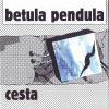 BETULA PENDULA - Cesta - CD