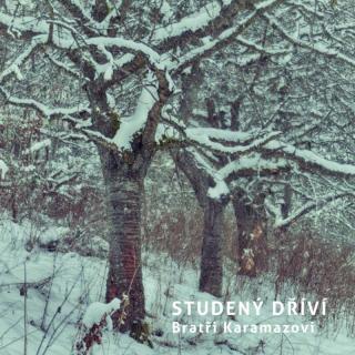 BRATŘI KARAMAZOVI - Studený dříví - CD