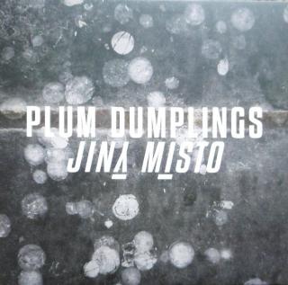 PLUM DUMPLINGS - Jiný místo - LP / VINYL