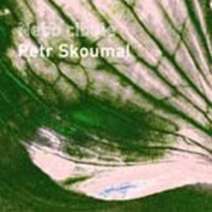 SKOUMAL PETR  - Nebo cibule - CD