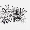 SOUNDS OF AVU - MAINER - LP / VINYL ltd.