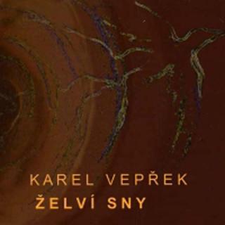 VEPŘEK KAREL - Želví sny - CD