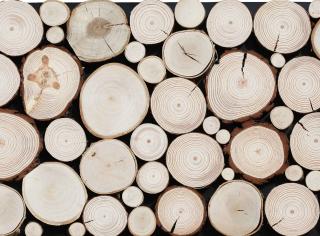 Dřevěný obklad - PURE