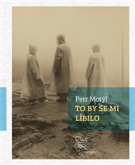 TO BY SE MI LÍBILO – Petr Motýl