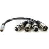 Atomos XLR Breakout kabel (vstup/výstup)