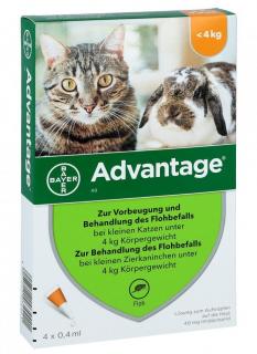 Advantage 40 proti blechám pro kočky do 4 kg - MULTIPACK 4x0,4 ml