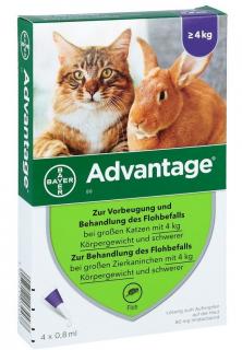 Advantage 80 proti blechám pro kočky a králíky nad 4 kg - MULTIPACK 4x0,8 ml