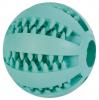 DENTAfun baseballový míč s mátou 5 cm - hračka pro psy