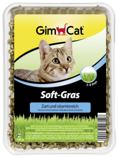 GimCat Soft-Gras tráva pro kočky v misce 100 g