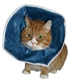 Ochranný límec pro kočky netkaná textílie