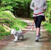 Pás na běh s vodítkem pro malé a střední psy - červená barva