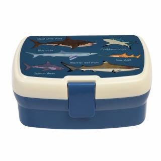 Svačinový box Rex London s dělící příčkou - Žraloci