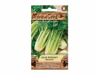 MoravoSeed Celer řapíkatý MALACHIT