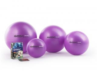 LEDRAGOMMA Gymnastik Ball MAXAFE 42 cm barva: fialová