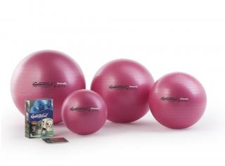 LEDRAGOMMA Gymnastik Ball MAXAFE 42 cm barva: růžová (fuchsia)