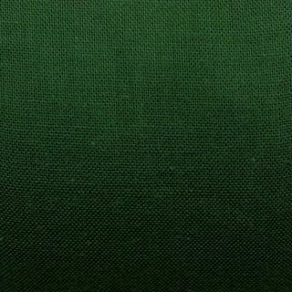 Kobercová lemovka 48mmx10m zelená (cena / kus)