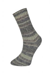 Příze Socks Himalaya 170-01