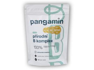 Pangamin Pangamin přírodní B komplex sáček 120 tablet + DÁREK ZDARMA