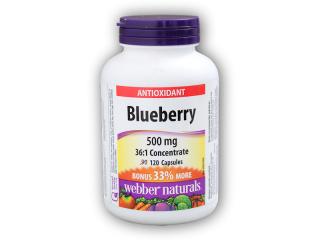 Webber Naturals Blueberry 500 mg 120 kapslí + DÁREK ZDARMA