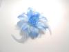 Světle modrý květ s peřím