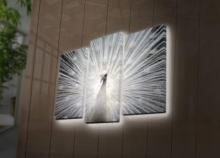 Nástěnný obraz na plátně PÁV s led osvětlením 66 cm