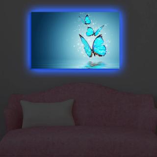 Obraz na plátně s led osvětlením MOTÝLI 45 cm
