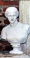 zahradní socha, Venuše mél. busta 20kg  T