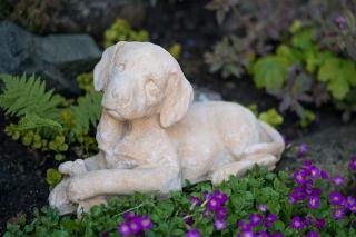zahradní sošky zvířat - soška Rotvajler, výška 22 cm, 8,5 kg