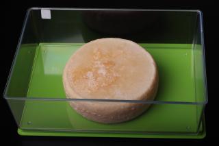 Box na uskladnění sýrů - 2,5l