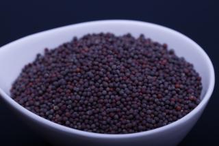 Koření Hořčičné semínko černé/ celé 100g