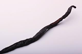 Koření Vanilka Indonésie - 1 lusk, 14-18cm