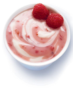 LAMBDA 13 jogurtová, balení DL3,5-180l jogurtu/ 300 - 600l sýr
