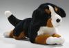 Plyšový pes Bernský salašnický ležící 32cm - plyšové hračky