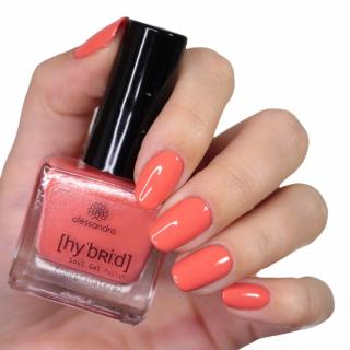 Hybrid lak  POMEGRANATE 8 ml