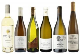 Objevte bílá vína Francie - od burgundského Chardonnay až po alsaský Ryzlink
