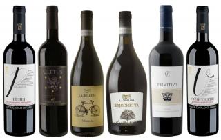 Objevte červená vína Itálie - od severu k jihu