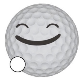 Golfové míčky Bridgestone E12 Barva: Bílé, Opotřebení: AAAA/AAA