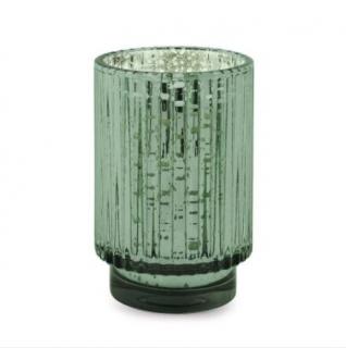 Paddywax Přírodní vonná svíčka Mercury Cypress & Fir zelená 340 g