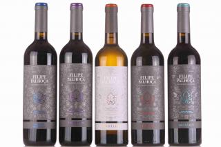 Sada odrůdových vín Filipe Palhoca